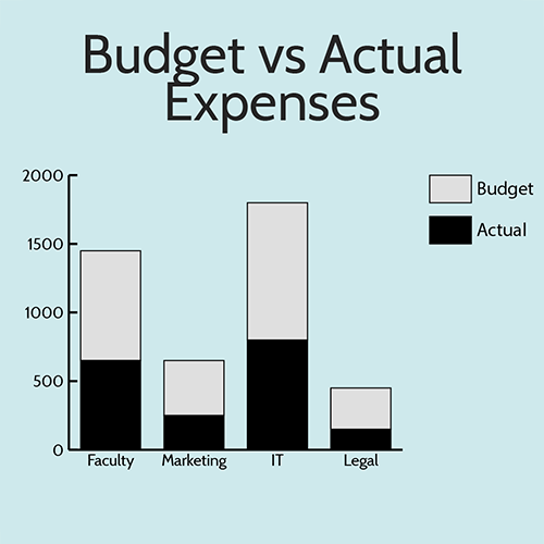 Budget vs Actual Expenses