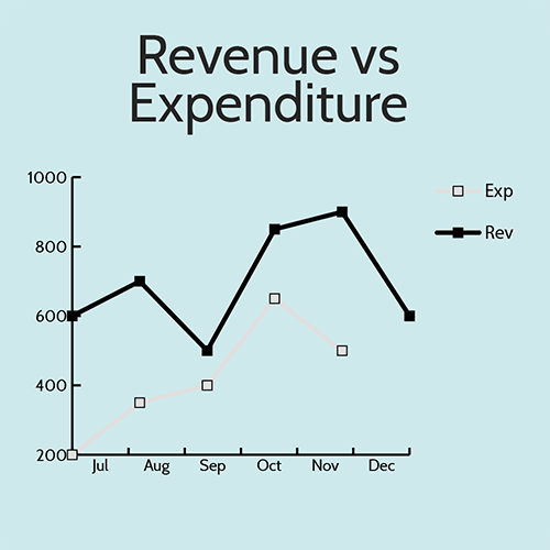 Revenue vs Expenditure