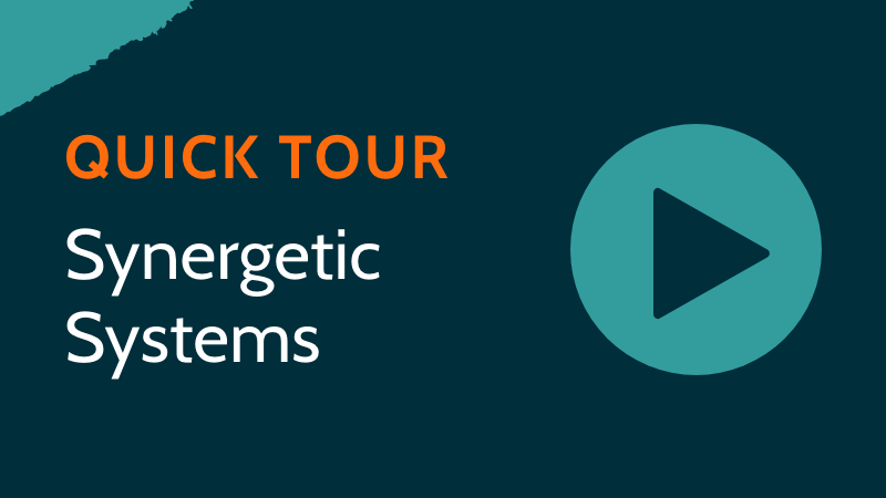 Synergetic Quick Tour: Synergetic Systems